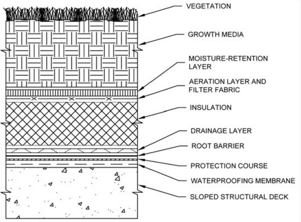 تفصيل لطبقات الأسطح الخضراء